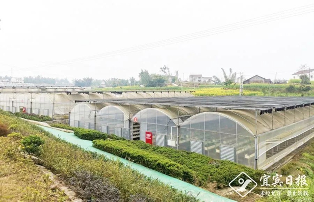 勇夺开门红丨宜宾企业“虎”力全开 冲刺开门红(图5)