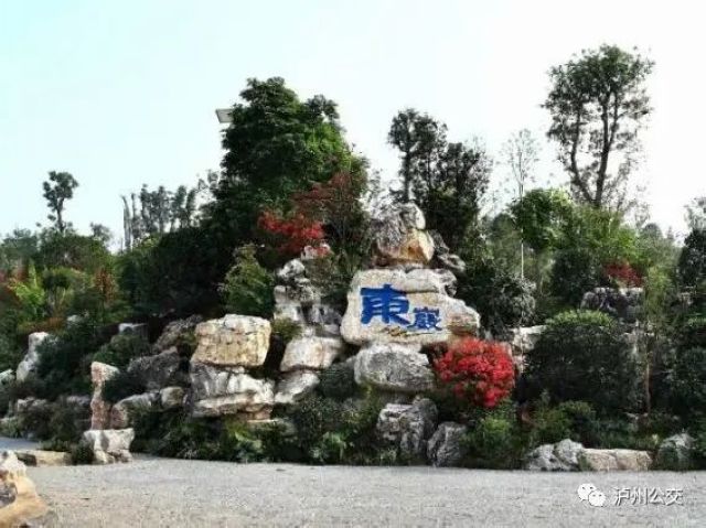 泸州赏花地点大汇总！快搭乘“春天的公交”出发！（附详细乘车线路）(图17)