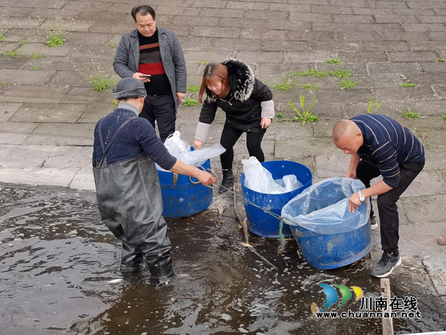 宜宾南溪区长兴镇:投放鱼苗,改善水质(图2) 宜宾南溪区长兴镇:投放鱼苗,改善水质(图2)