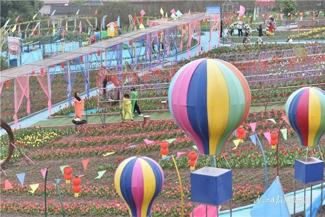 130万株郁金香盛放，内江这个地方成了一片花海！(图5)