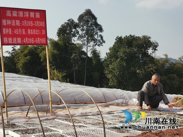 泸县潮河镇：粮油生产基地春播忙(图3)