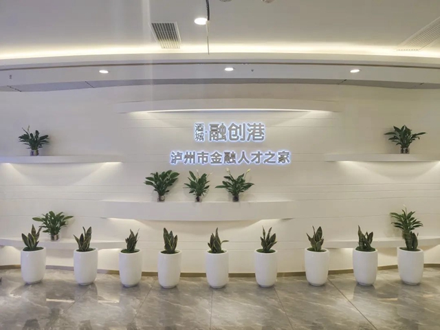 做强金融集聚效应 助力“一体”提质发展 | 泸州市委书记杨林兴调研泸州金融商业中心(图8) 做强金融集聚效应 助力“一体”提质发展 | 泸州市委书记杨林兴调研泸州金融商业中心(图8)