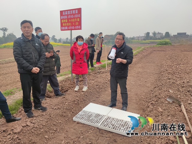 “东翼”泸县粮油种植核心区酿酒高粱育秧现场会在百和镇召开(图2) “东翼”泸县粮油种植核心区酿酒高粱育秧现场会在百和镇召开(图2)