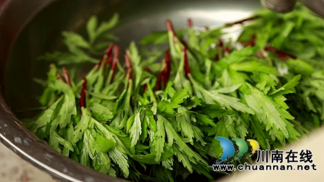 合江：春天的馈赠，一桌野菜做出美味佳肴(图11)