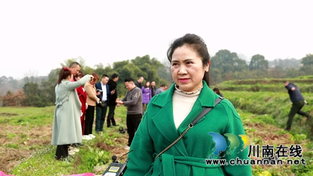 合江:免耕土豆丰收,快来体验采收乐趣!(图10) 合江:免耕土豆丰收,快来体验采收乐趣!(图10)