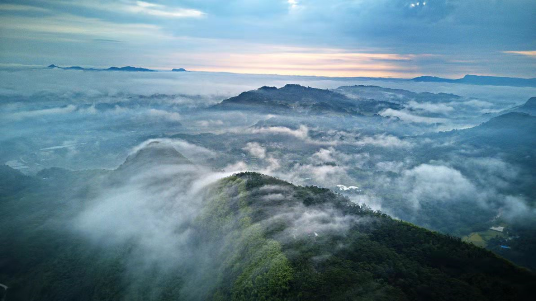 快看!纳溪的春天已经美成了一片“海”(图3) 3.png