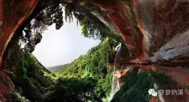 快看!纳溪的春天已经美成了一片“海”(图13) 12.jpg