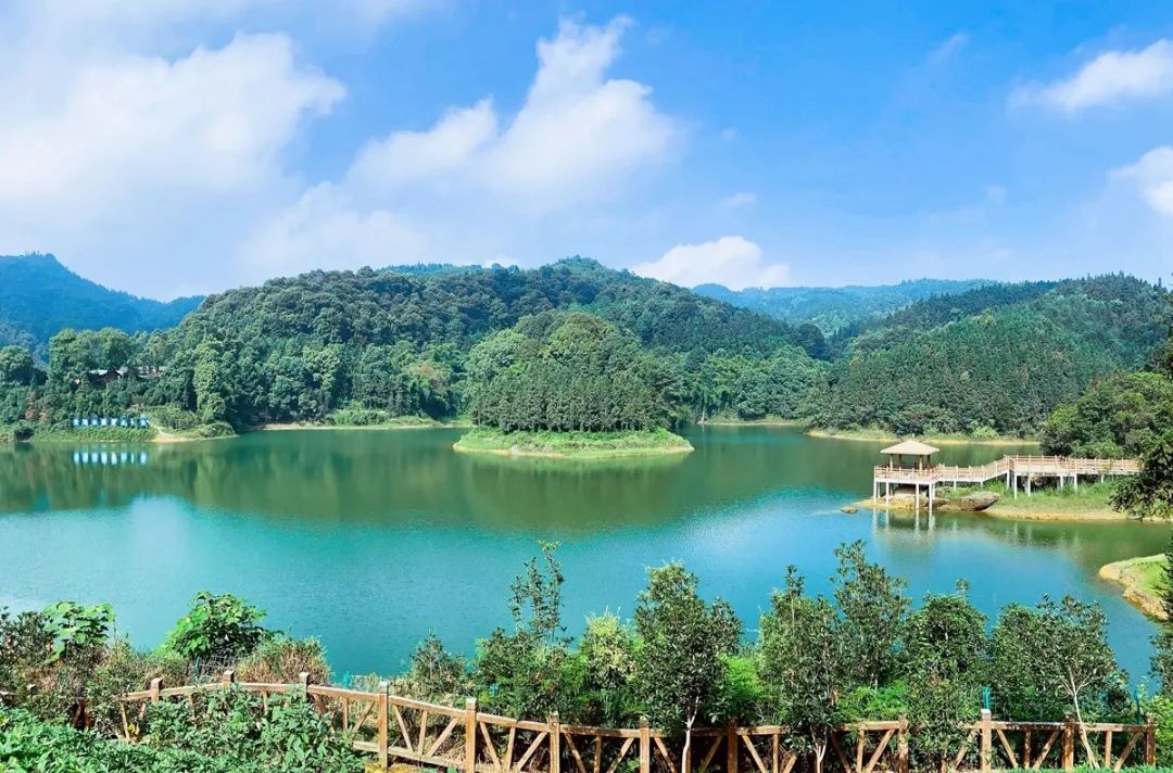 收藏!泸县踏青赏花地图出炉,赶紧约起!(图2) 2.jpg