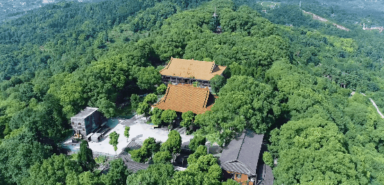 收藏!泸县踏青赏花地图出炉,赶紧约起!(图7) 微信图片_20220306114149.gif