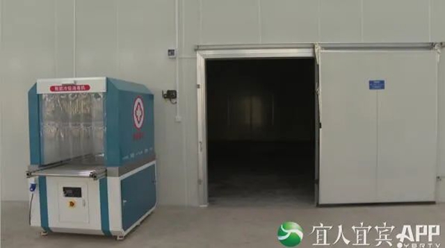 硬核守护不断“链”！宜宾新启用进口冷链食品集中监管仓(图4)