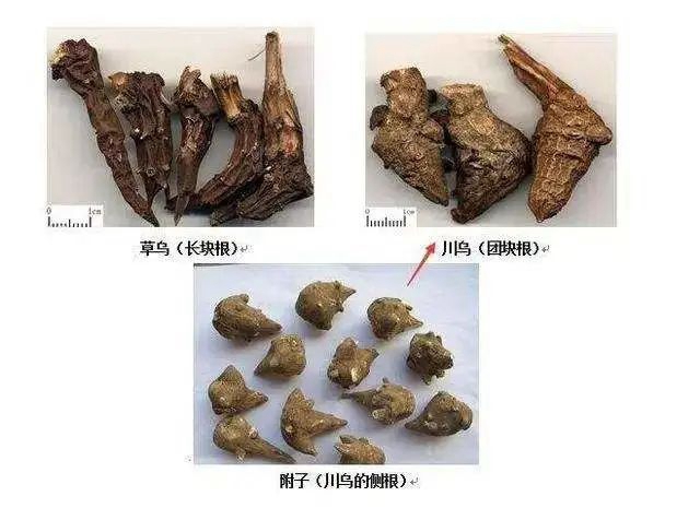 泸州大姐误服毒药，全身僵硬麻木……(图5)