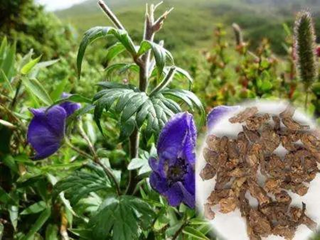 泸州大姐误服毒药，全身僵硬麻木……(图6)