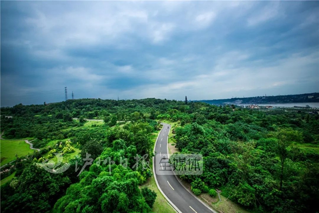 我在酒城等你丨泸州新版城市形象宣传片亮相央视(图3) 我在酒城等你丨泸州新版城市形象宣传片亮相央视(图3)