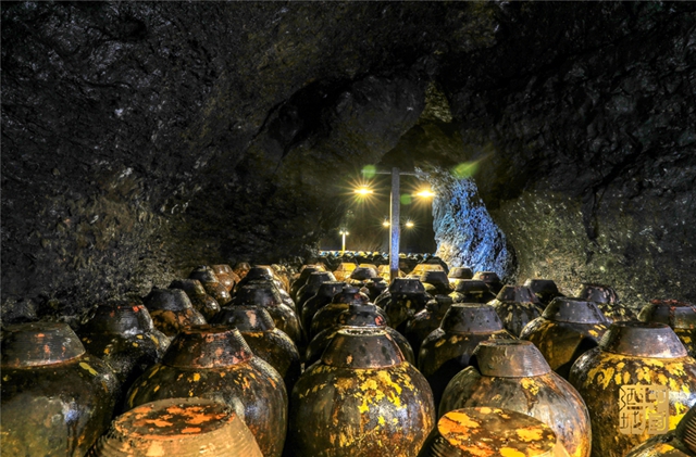 我在酒城等你丨泸州新版城市形象宣传片亮相央视(图13) 我在酒城等你丨泸州新版城市形象宣传片亮相央视(图13)