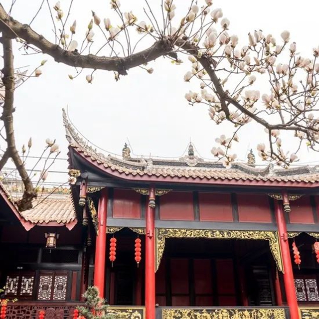 春至叙永花弄色,请查收这份春日赏花攻略!(图8) 春至叙永花弄色,请查收这份春日赏花攻略!(图8)