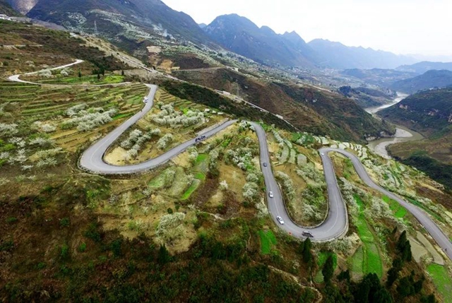 春至叙永花弄色,请查收这份春日赏花攻略!(图15) 春至叙永花弄色,请查收这份春日赏花攻略!(图15)