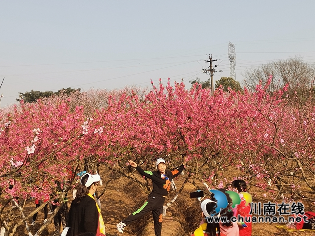 赏花何须远行,世兰香最仙境!泸县兆雅镇桃红李白让人流连忘返(图2) 赏花何须远行,世兰香最仙境!泸县兆雅镇桃红李白让人流连忘返(图2)
