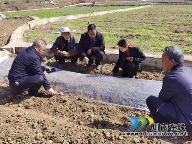 古蔺县双沙镇:草长莺飞季,春耕正当时(图2) 古蔺县双沙镇:草长莺飞季,春耕正当时(图2)
