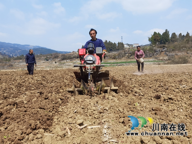 古蔺县双沙镇:草长莺飞季,春耕正当时(图3) 古蔺县双沙镇:草长莺飞季,春耕正当时(图3)