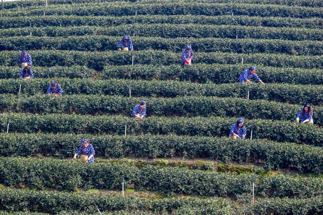 泸州这些镇上榜，将在资金、用地保障方面给予重点支持