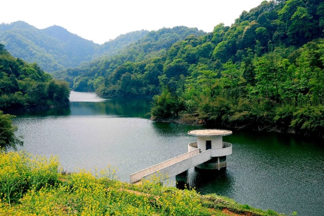 泸州这些镇上榜，将在资金、用地保障方面给予重点支持(图6)