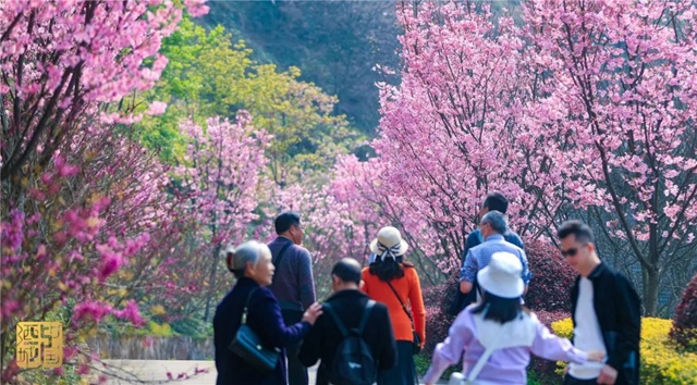 直冲30℃!五彩斑斓的泸州,爱了!(图2) 直冲30℃!五彩斑斓的泸州,爱了!(图2)