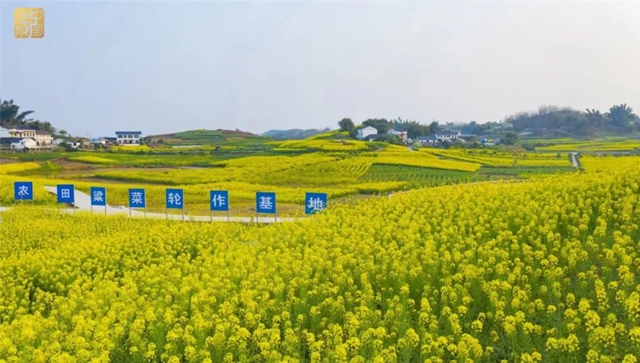 直冲30℃!五彩斑斓的泸州,爱了!(图9) 直冲30℃!五彩斑斓的泸州,爱了!(图9)