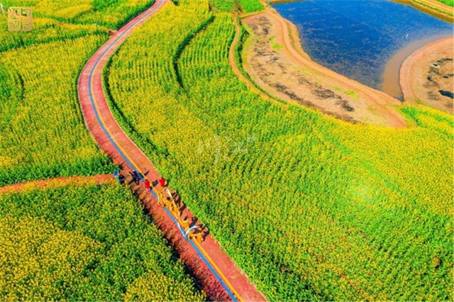 直冲30℃!五彩斑斓的泸州,爱了!(图7) 直冲30℃!五彩斑斓的泸州,爱了!(图7)