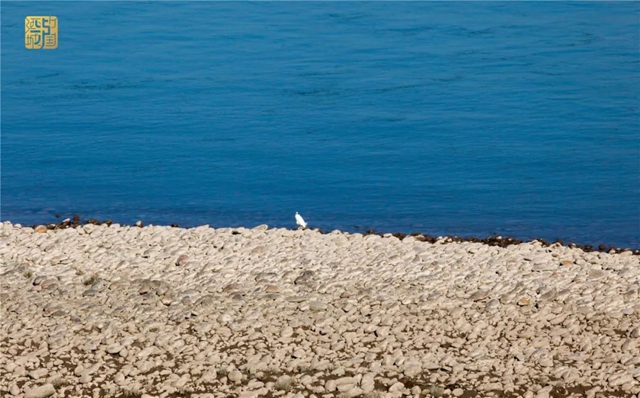 直冲30℃!五彩斑斓的泸州,爱了!(图11) 直冲30℃!五彩斑斓的泸州,爱了!(图11)