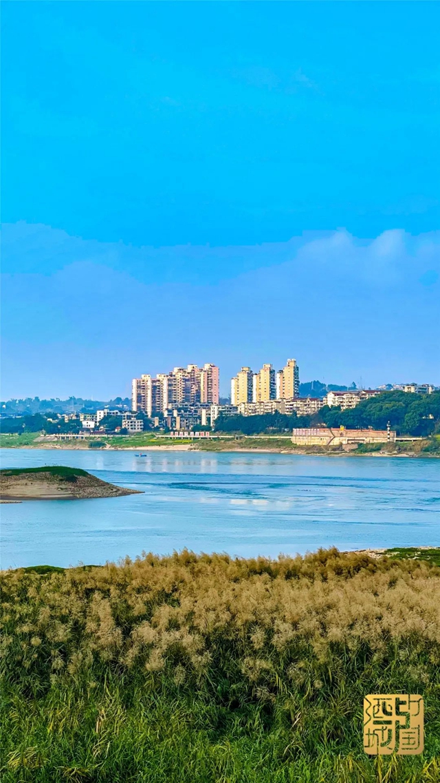 直冲30℃!五彩斑斓的泸州,爱了!(图16) 直冲30℃!五彩斑斓的泸州,爱了!(图16)