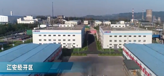 勇夺开门红丨走出国门！宜宾171吨锂电池原材料运抵韩国(图6)