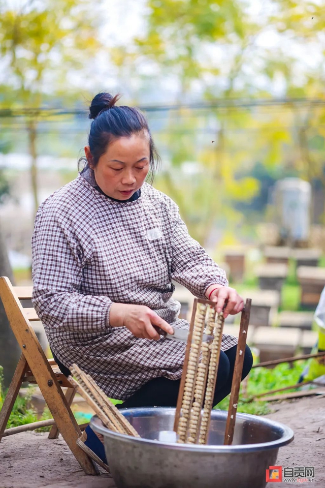 最近，“甜蜜蜜”的自贡引来不少特殊的客人！(图5)