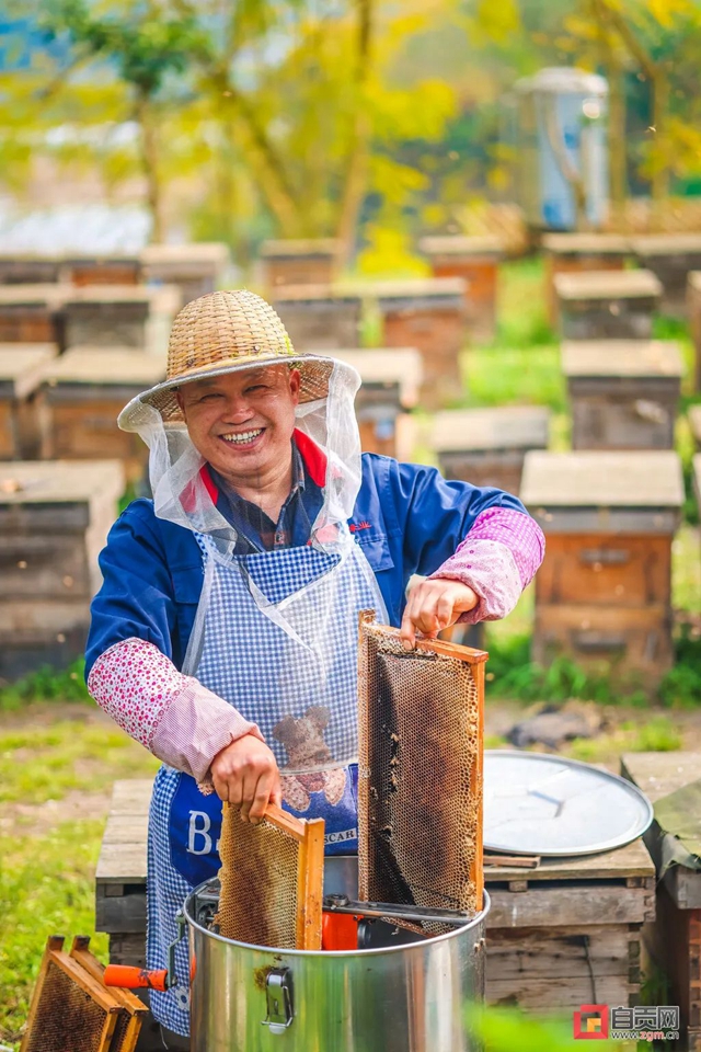 最近，“甜蜜蜜”的自贡引来不少特殊的客人！(图4)