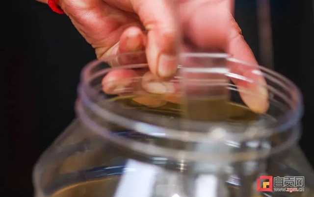 最近，“甜蜜蜜”的自贡引来不少特殊的客人！(图8)