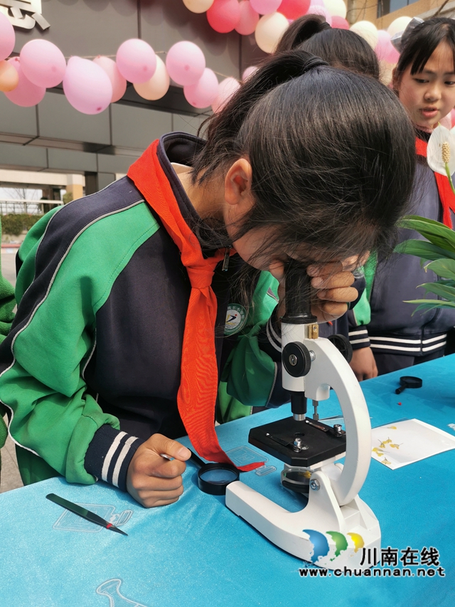 泸县城东小学:把春天搬进校园(图2) 泸县城东小学:把春天搬进校园(图2)