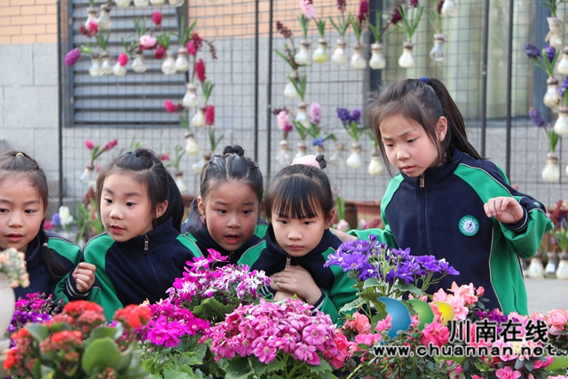 泸县城东小学:把春天搬进校园(图4) 泸县城东小学:把春天搬进校园(图4)