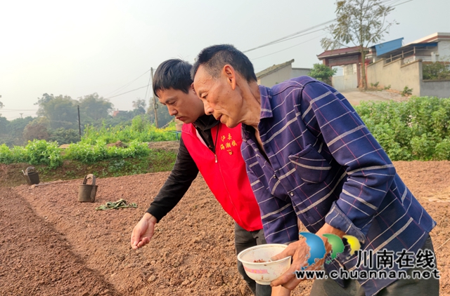 泸县海潮镇:高粱地里备耕忙,“田管家”巡田保丰收(图6) 泸县海潮镇:高粱地里备耕忙,“田管家”巡田保丰收(图6)