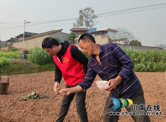 泸县海潮镇:高粱地里备耕忙,“田管家”巡田保丰收(图5) 泸县海潮镇:高粱地里备耕忙,“田管家”巡田保丰收(图5)