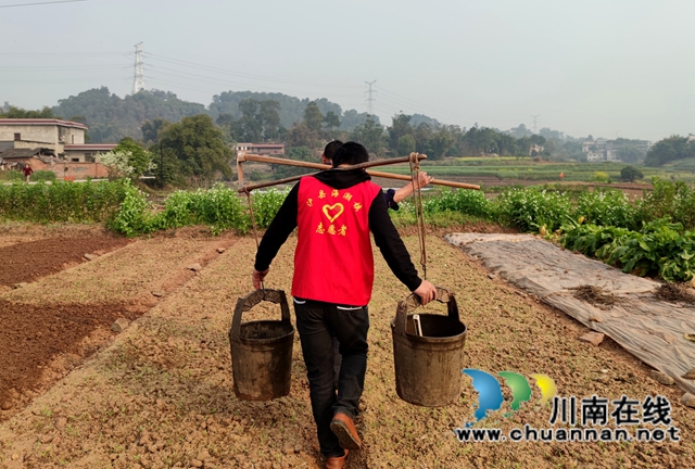 泸县海潮镇:高粱地里备耕忙,“田管家”巡田保丰收(图8) 泸县海潮镇:高粱地里备耕忙,“田管家”巡田保丰收(图8)