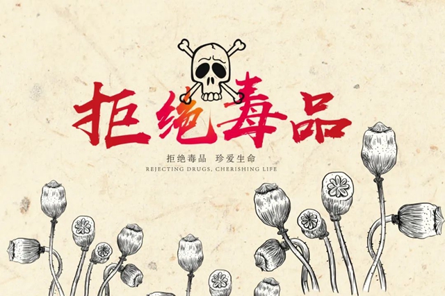 毒偏方，泸州两女子深山种罂粟2000余株