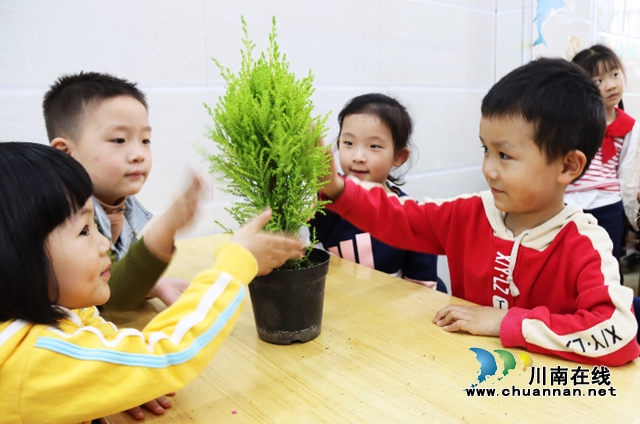 泸州：小萌娃幼儿园学植树(图4)