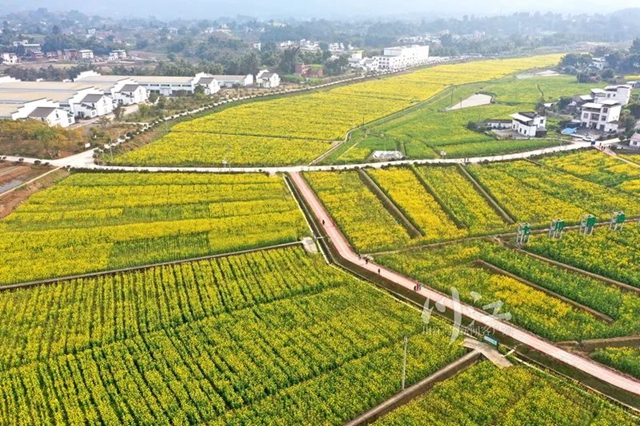 泸州科技特派员“双百工程”工作启动，将开展培训100场次(图1)