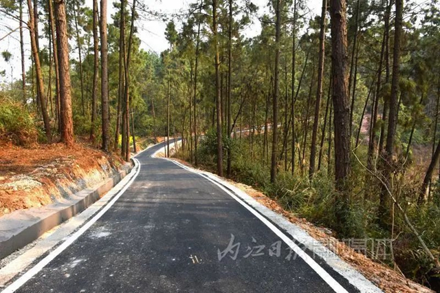 这条道路是内江的新景观吗？不，它其实是——(图3)