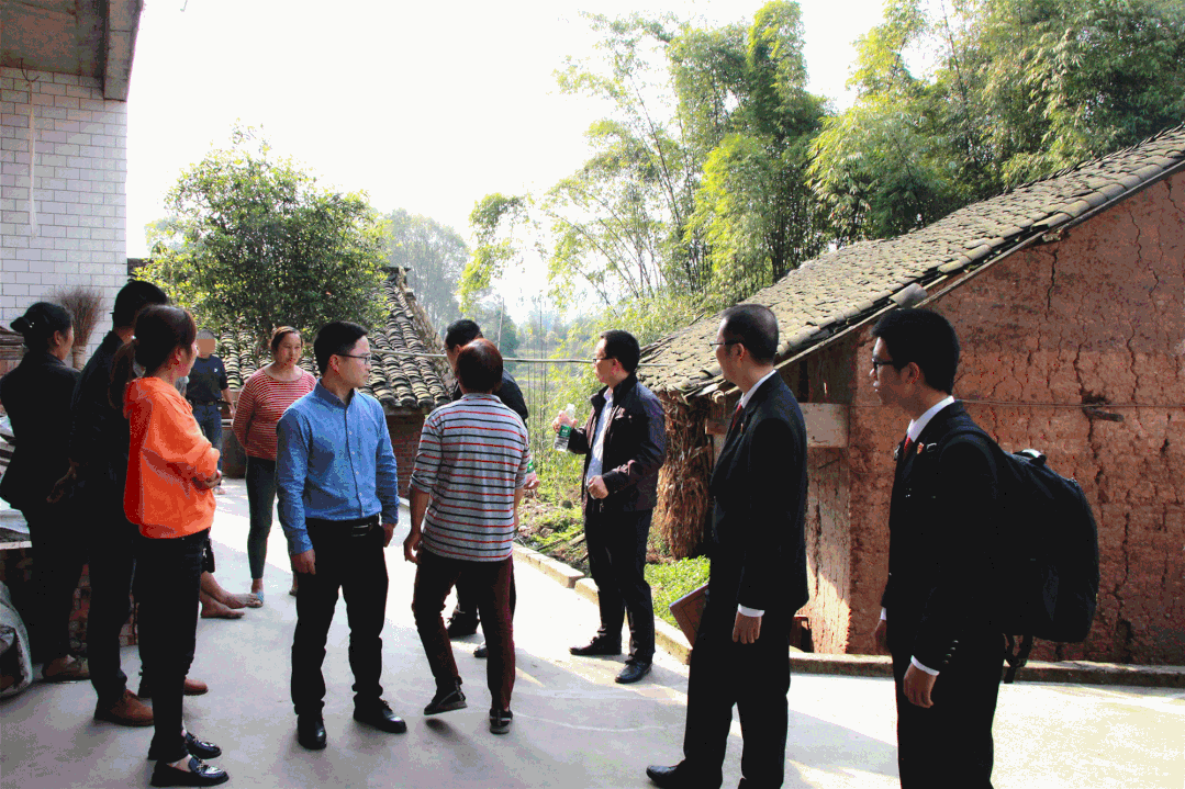 泸州：为抢毛竹嬢嬢出手伤人，法官化积怨邻里握手言和(图7)