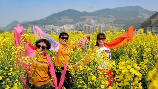 绝不能错过的赏花盛宴！三月哪里美如画，正是双沙油菜花……(图6)