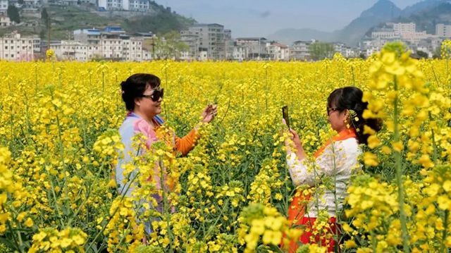 绝不能错过的赏花盛宴！三月哪里美如画，正是双沙油菜花……(图7)