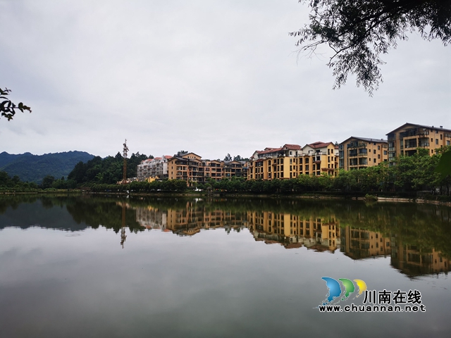 合江县先滩镇:“四林经济”践行绿色生态发展(图1) 合江县先滩镇:“四林经济”践行绿色生态发展(图1)