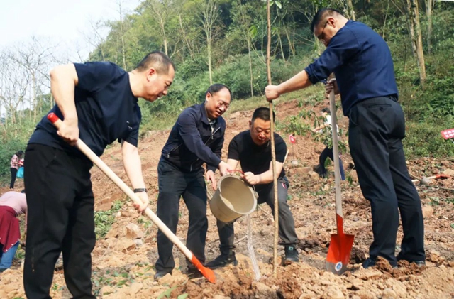 泸州市2022年完成义务植树30万株(图1)