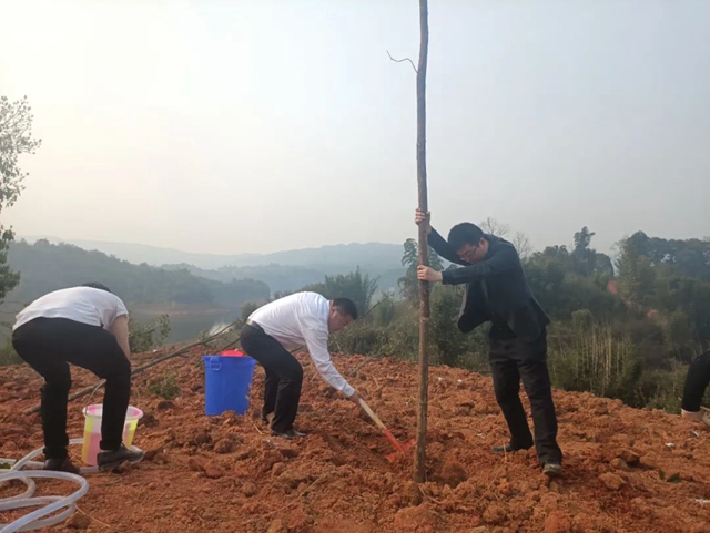 泸州市2022年完成义务植树30万株(图3)