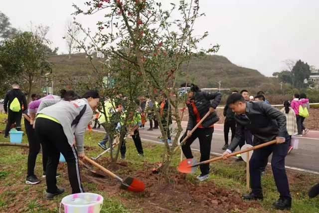 泸州市2022年完成义务植树30万株(图2)